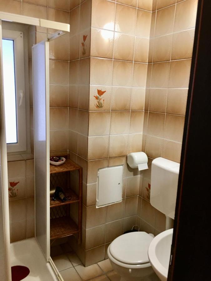 Guest House Atelsek Recica ob Savinji المظهر الخارجي الصورة