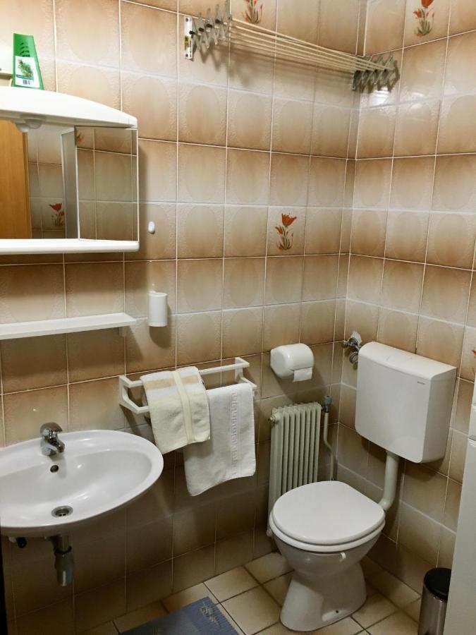 Guest House Atelsek Recica ob Savinji المظهر الخارجي الصورة