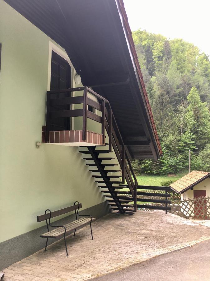 Guest House Atelsek Recica ob Savinji المظهر الخارجي الصورة